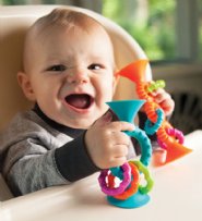 FAT BRAIN TOY