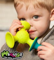 FAT BRAIN TOY
