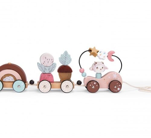 רכבת פעילות - אחרי הגשם